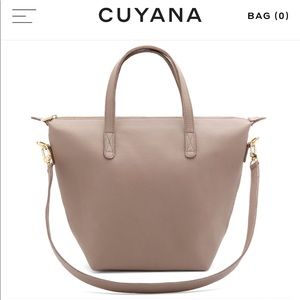 Cuyana Small Carryall Tote in Stone